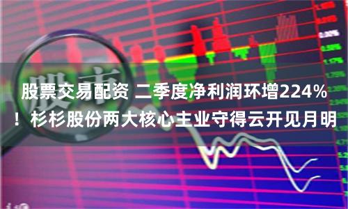 股票交易配资 二季度净利润环增224%！杉杉股份两大核心主业守得云开见月明