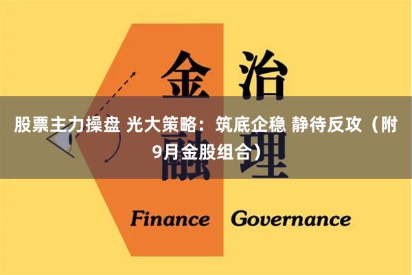 股票主力操盘 光大策略：筑底企稳 静待反攻（附9月金股组合）