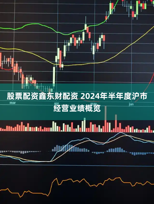 股票配资鑫东财配资 2024年半年度沪市经营业绩概览