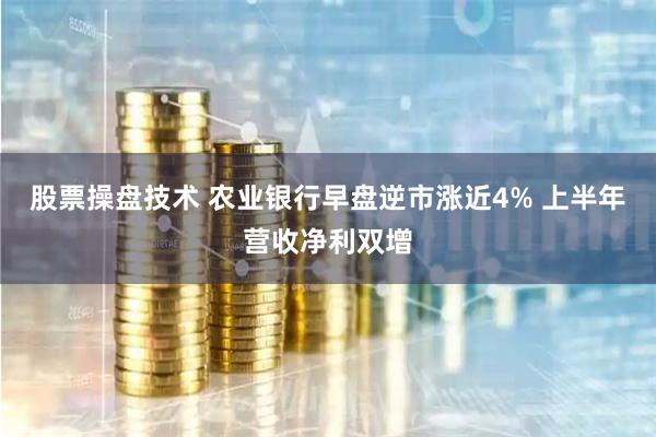 股票操盘技术 农业银行早盘逆市涨近4% 上半年营收净利双增