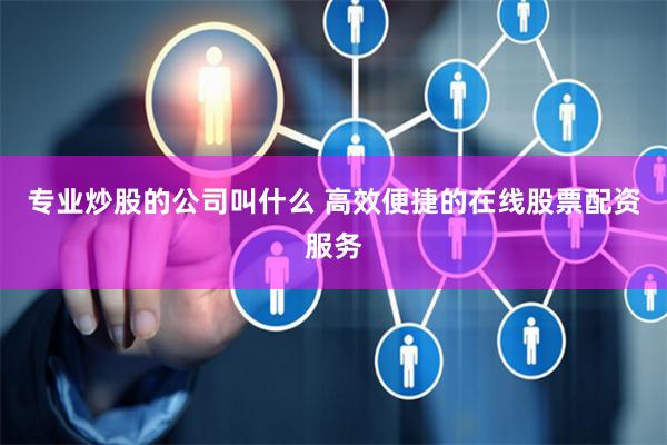专业炒股的公司叫什么 高效便捷的在线股票配资服务